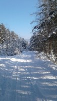 20200216_140301.jpg