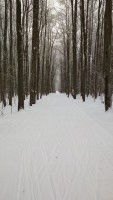IMG_20180114_114331.jpg