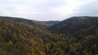 20200917_132448.jpg